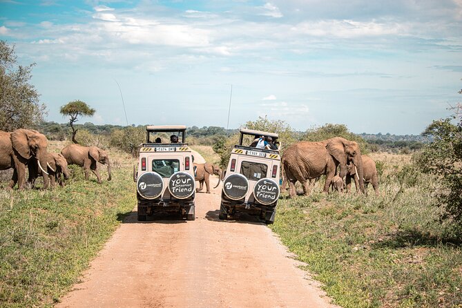 Tanzania Classic - 7 Days - Day 6: Ngorongoro Crater at 6am