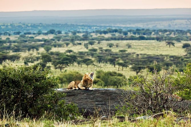 Tanzania Classic - 7 Days - Day 7: Tarangire’s wildlife and the return to Arusha