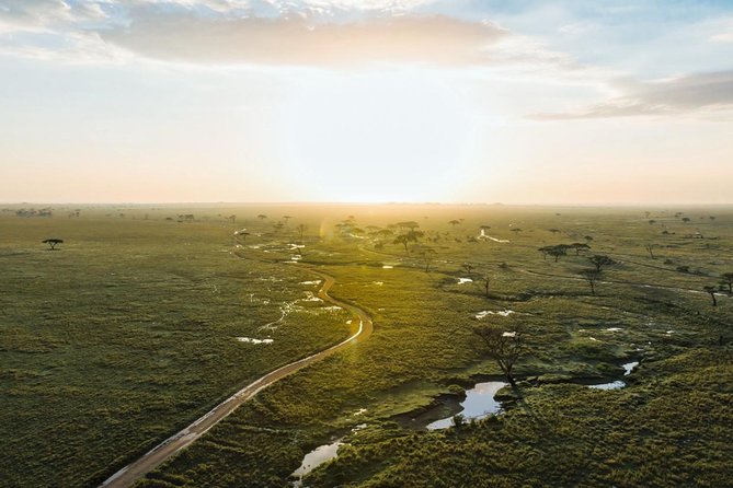 Tanzania Enticing Explorations - 6 Days - Day 4: A Serengeti morning, then Ngorongoro