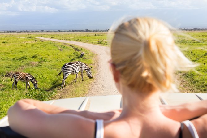 Tanzania Simba Safari - 5 Days - Day 3: the safari’s fullest wildlife day