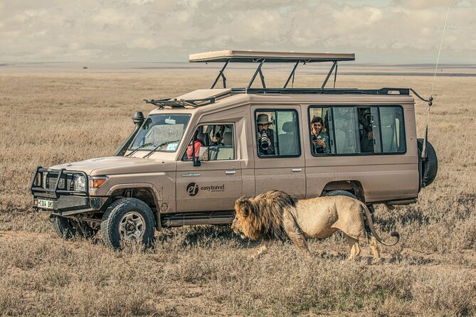 Tanzania Simba Safari - 5 Days - Day 5: an early look inside Ngorongoro Crater