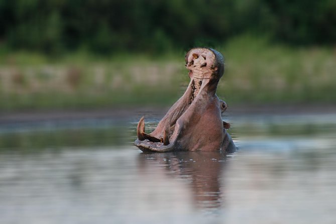 Tanzania Simba Safari - 5 Days - What the $2,897.06 price includes
