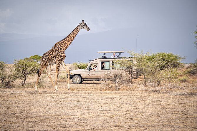 Tanzania Wildlife Encounters - 6 Days - What the $3,413.24 price really covers
