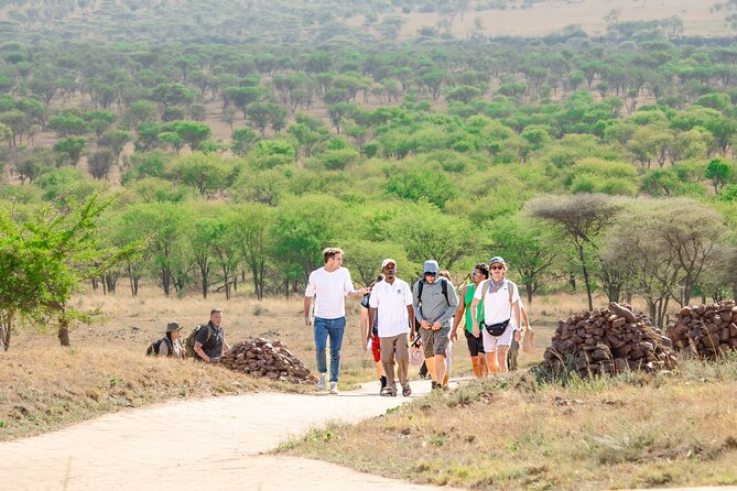 Tanzania Wildlife Encounters - 6 Days - Camps, meals, and the practical side of safari