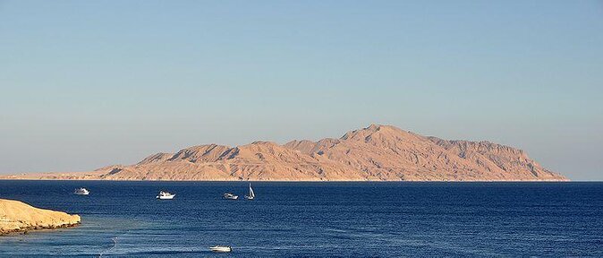 Tiran Island Snorkeling Excursion - Three Red Sea reefs in one eight-hour day