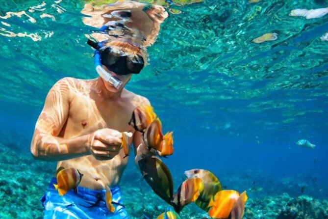 Tiran Island Snorkeling Excursion - Who will enjoy this trip most?