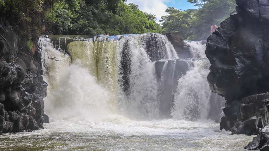 Trou d'Eau Douce: 5 Island Adventure with BBQ & Snorkeling - Ile aux Aigrettes and the wildlife search