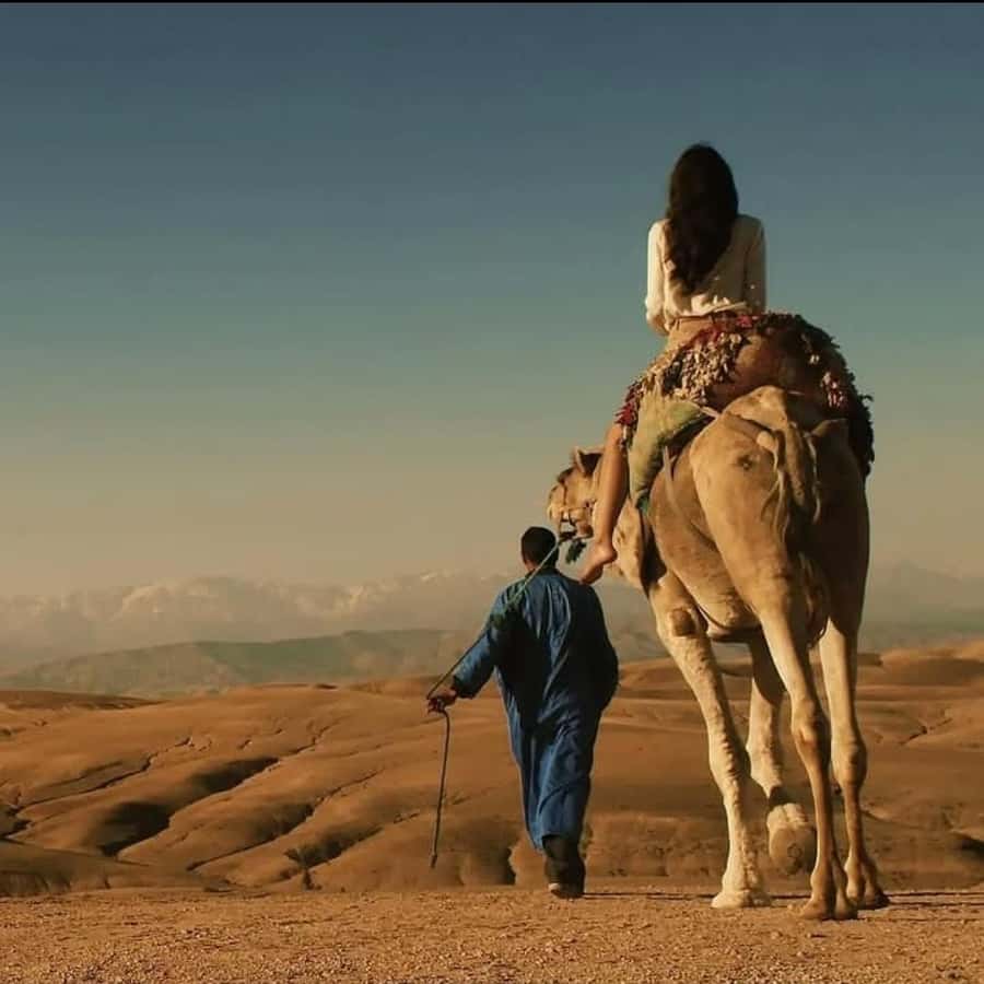 Unforgettable Desert Night: Dinner, Camel Ride & Quad Bike - Dinner, tea, music, and the fire show