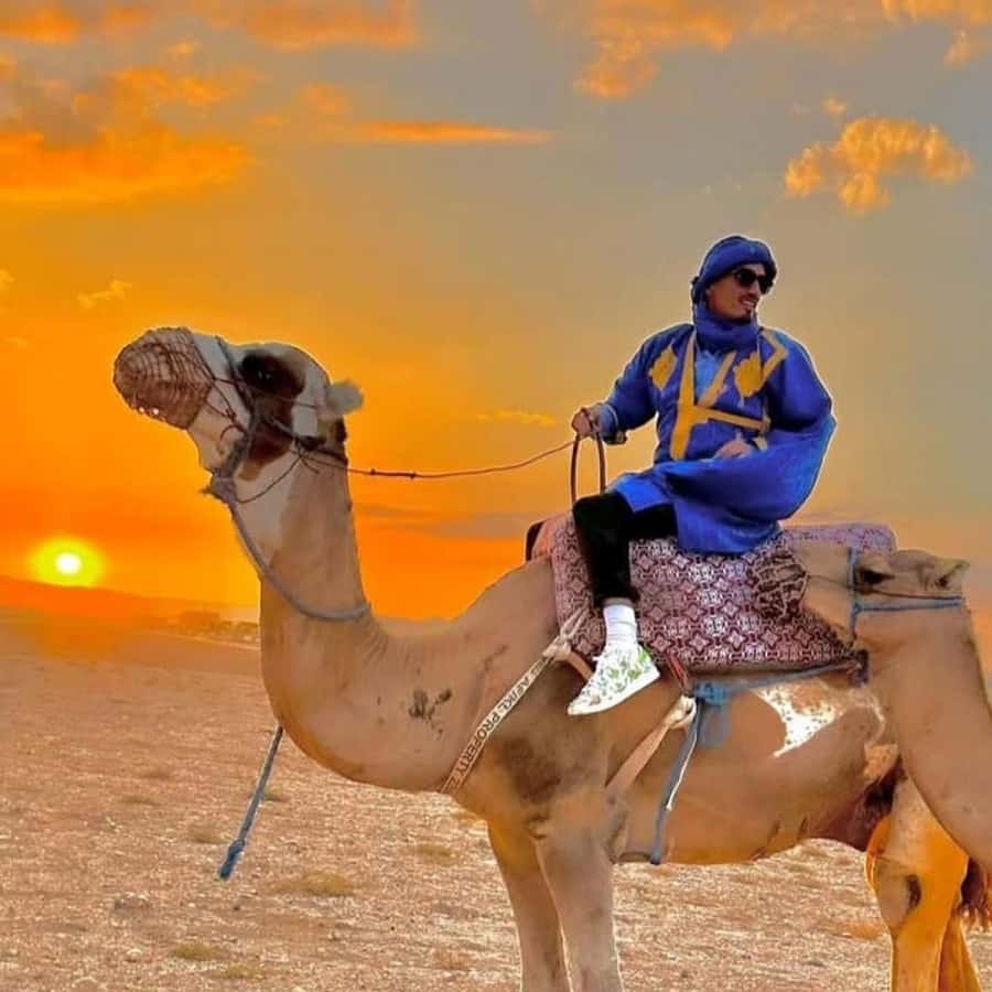 Unforgettable Desert Night: Dinner, Camel Ride & Quad Bike - Guides make a real difference