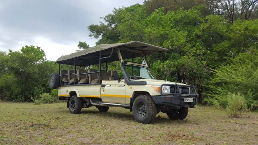 Victoria Falls: Chobe National Park Day Trip with Lunch - Who will enjoy this Chobe day trip