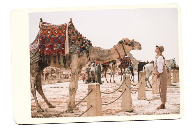 VIP All inclusive Best of Giza Pyramids, Sphinx, Sakkara, Memphis - What the private guide adds