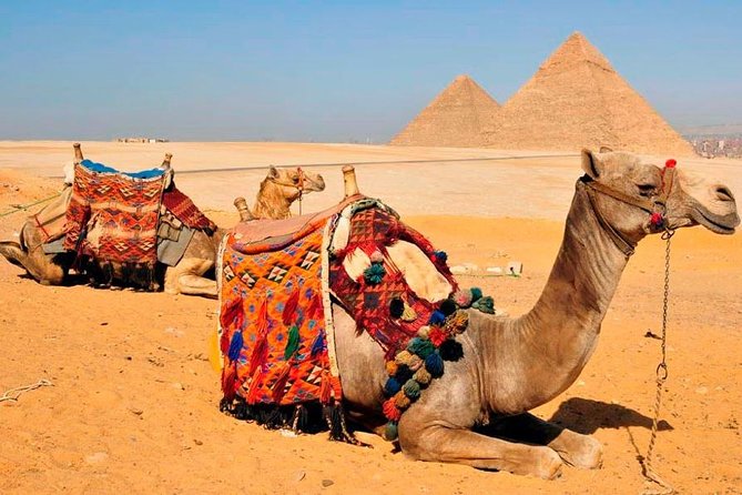 VIP All inclusive Best of Giza Pyramids, Sphinx, Sakkara, Memphis - Is $80 good value?