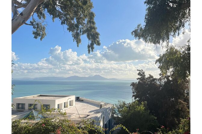 VIP Tour: Tunis Medina/Bardo, Sidi Bou Said, Carthage |PICKUP ALL - The drive from Sousse sets the rhythm
