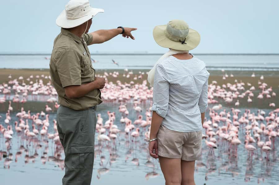 Walvis Bay: 4x4 Desert Excursion to Sandwich Harbour Bay - Salt pans, mudflats, and the dry Kuiseb Delta