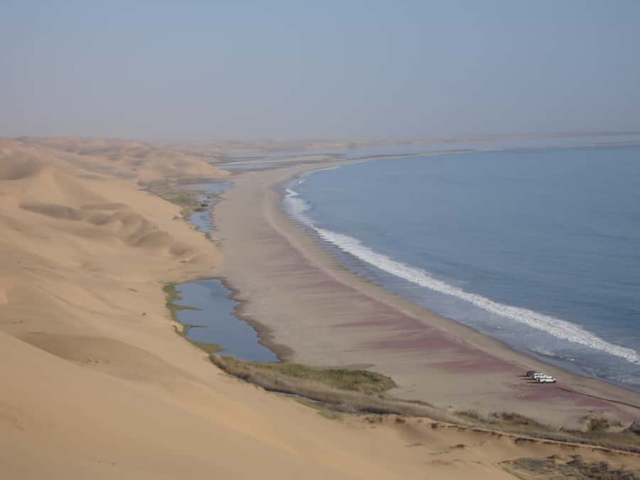 Walvis Bay: 4x4 Desert Excursion to Sandwich Harbour Bay - Comfort, access, and who should skip it