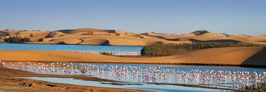 Walvis Bay and Sandwich Harbour Tour - The beach drive into Namib-Naukluft Park