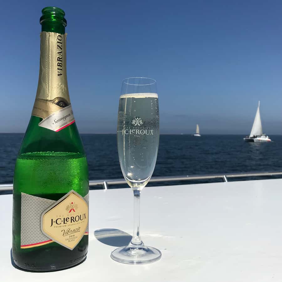 Walvis Bay: Marine Big 5 Luxury Catamaran Tour - Ships, Oil Rigs, and the Wider Bay