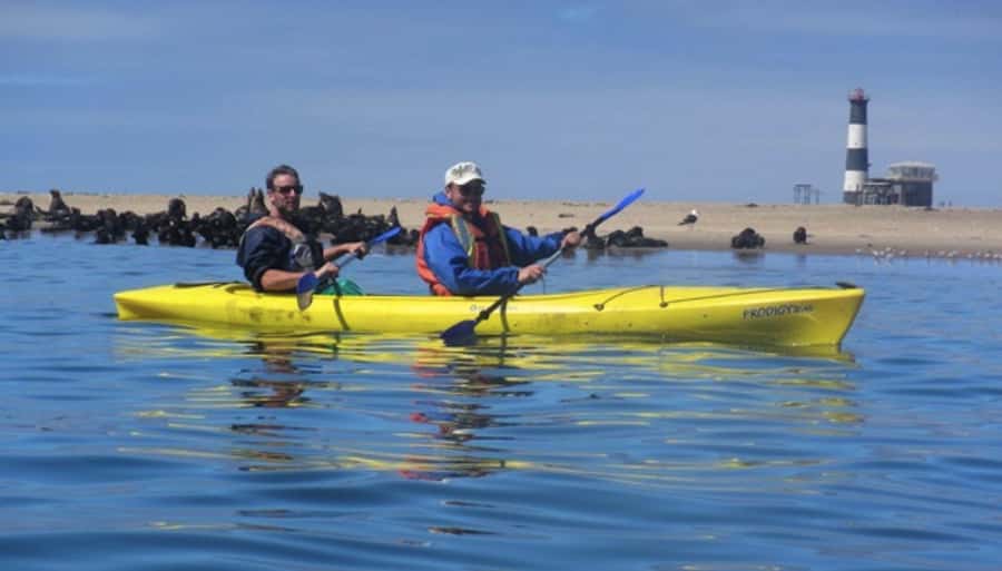 Walvis Bay: Pelican Point Kayaking Tour - Why the seals make this Walvis Bay tour special