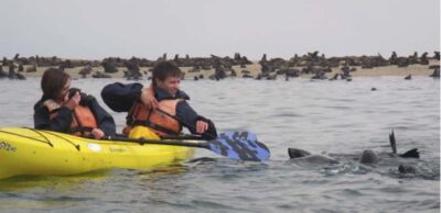 Pelican Point Kayaking Tour