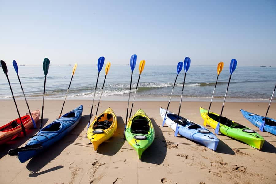Walvis Bay: Pelican Point Kayaking Tour - Two hours among seals, birds, and open water