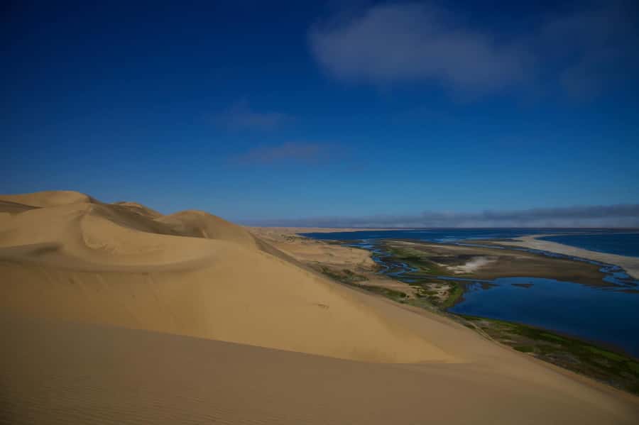 Walvis Bay: Sandwich Harbour Half-Day 4x4 Scenic Excursion - Why the Namib and Atlantic meeting point matters