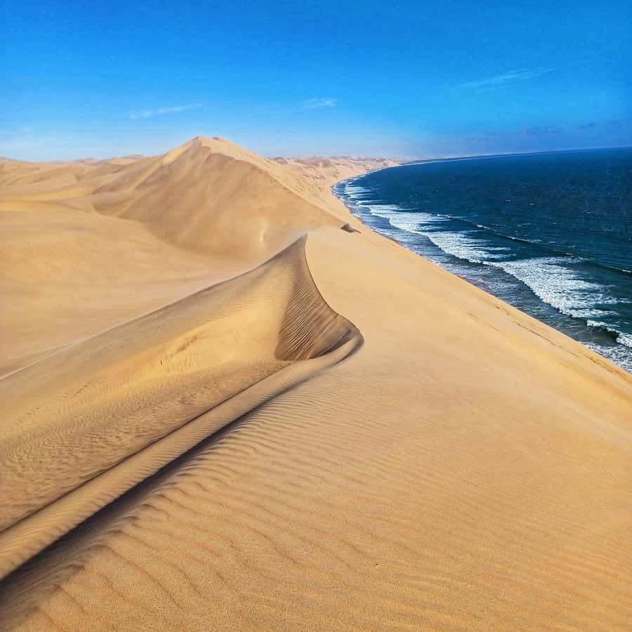Walvis Bay: Sandwich Harbour Half-Day 4x4 Scenic Excursion - Sandwich Harbour Lagoon and the walk among the dunes