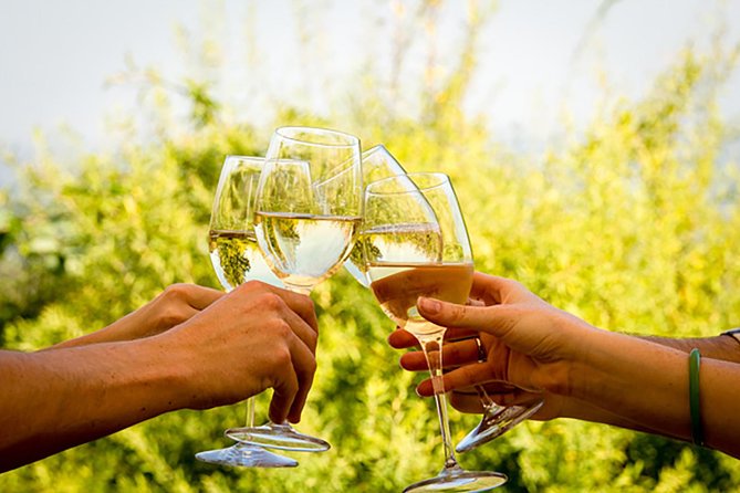 Wine Tour: Paarl, Franschhoek & Stellenbosch incl 3 wineries - Stellenbosch begins with cellar time and cheese