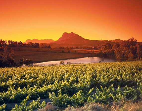 Wine Tour: Paarl, Franschhoek & Stellenbosch incl 3 wineries - A short stop at Drakenstein Prison