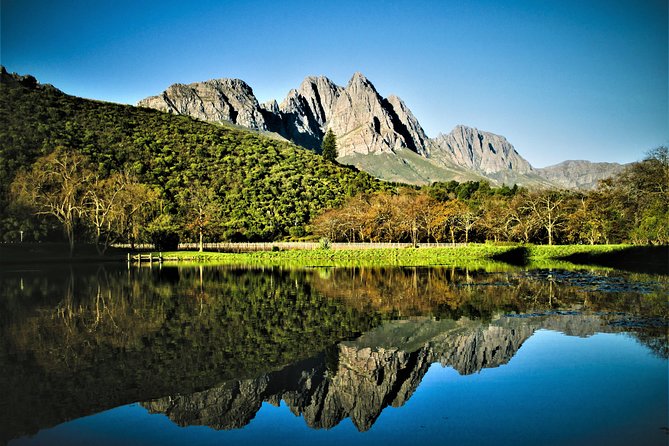 Wine Tour to Stellenbosch & Franschhoek with Tastings & Lunch - The pace, transport, and practical details