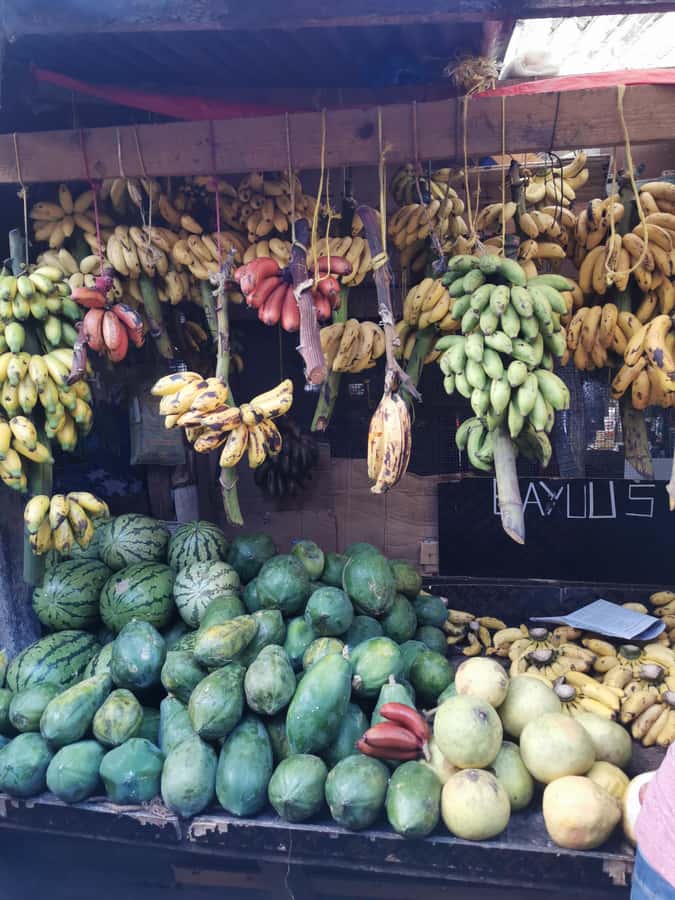 Zanzibar: 3 Hours Private Stone Town walking Tour with Guide - Why Stone Town makes a strong first walk