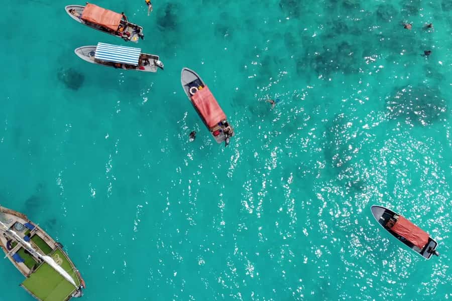 Zanzibar: Mnemba Island Dolphin and Snorkeling Tour - Dolphins first, then the reefs of Mnemba