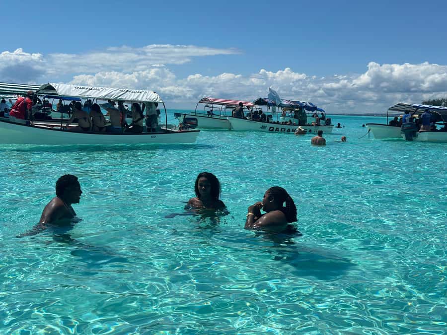 Zanzibar: Mnemba Island Dolphin and Snorkeling Tour - Should you book the Zanzibar Mnemba tour?