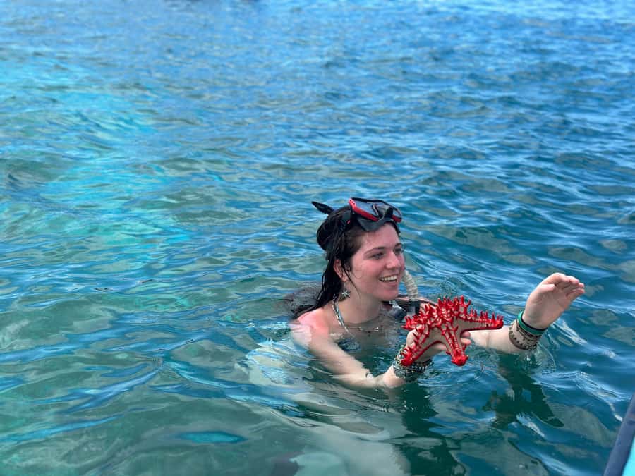 Zanzibar: Mnemba Island Dolphin and Snorkeling Tour - What the $40 price really gives you