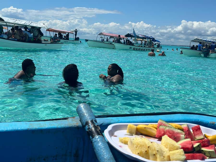 Zanzibar: Mnemba Island Dolphin and Snorkeling Tour - Languages, guides, and comfort on the water