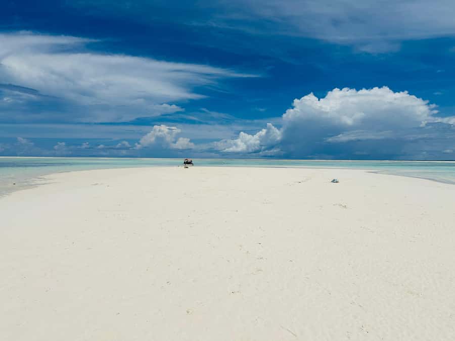 Zanzibar: Mnemba Island Dolphin and Snorkeling Tour - Who should book this Mnemba excursion?