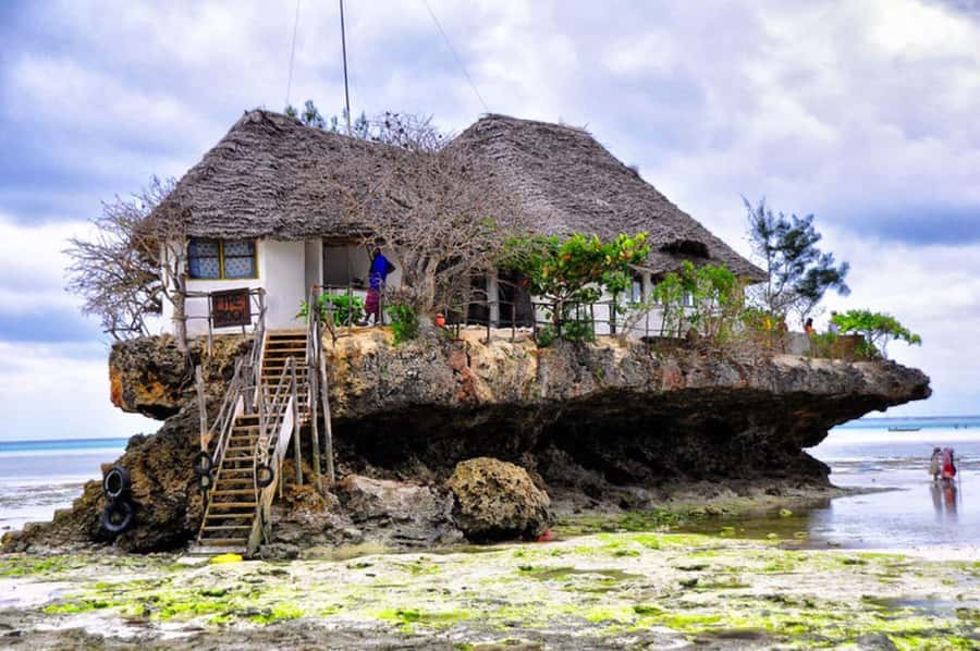 Zanzibar: Mnemba Island, Prison Island and Salaam Cave Tour - Snorkeling, swimming, and the value of a private boat