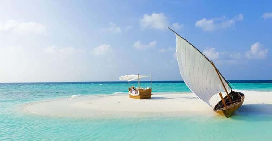 Zanzibar: Prison Island and Nakupenda Sandbank With Lunch - A full day that pairs tortoises with a sandbank