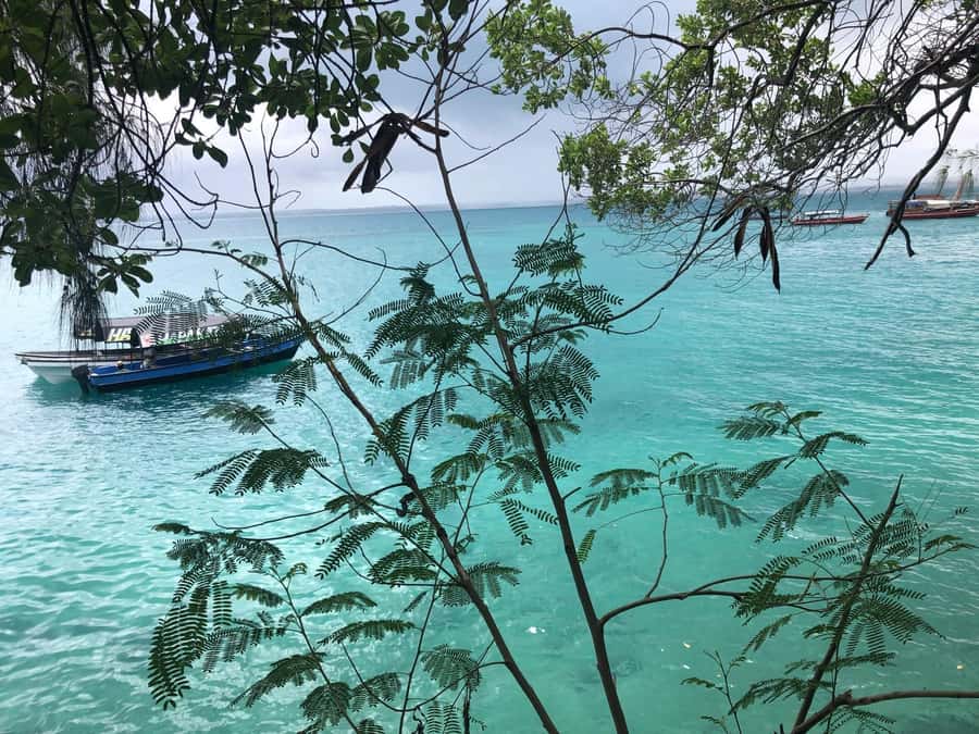 Zanzibar: Prison Island, Stone Town, & Spice Farm Tour - Who should book this Zanzibar day trip?