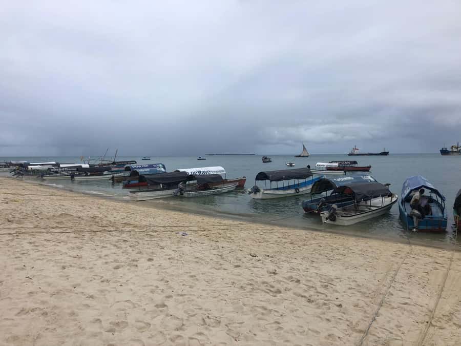 Zanzibar: Prison Island, Stone Town, & Spice Farm Tour - Prison Island and the tortoise sanctuary