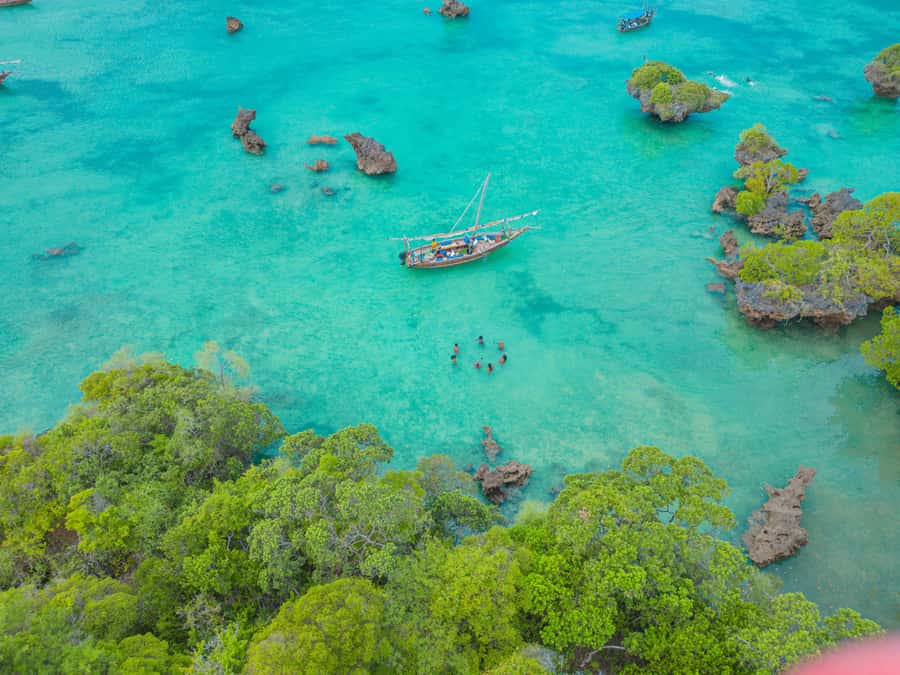 Zanzibar: Safari Blue Lagoon Trip with Snorkeling and Lunch - Who should book this Zanzibar sea trip?